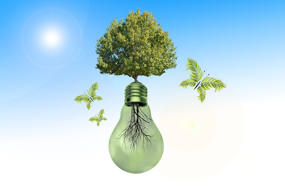 Scopri di più sull'articolo Progetto “Sosteniamoci!”: l’impegno di Auser regionale a favore della sostenibilità ambientale